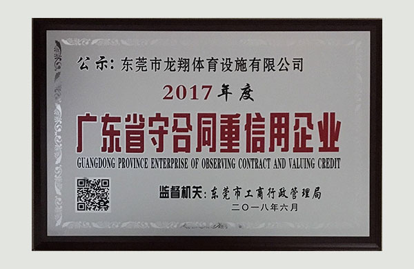 廣東龍翔體育