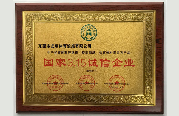 廣東龍翔體育