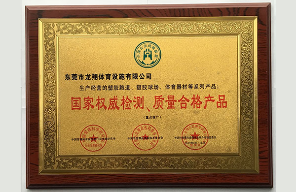廣東龍翔體育