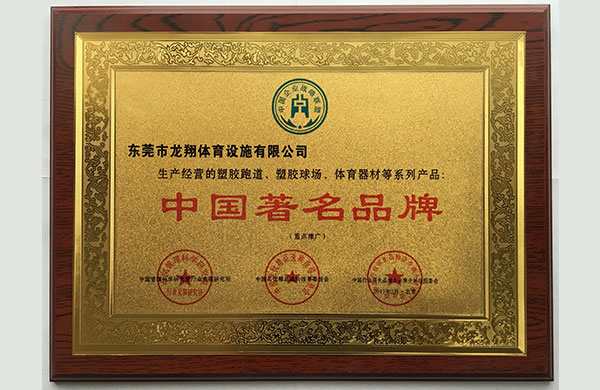 廣東龍翔體育