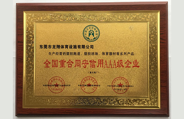 廣東龍翔體育