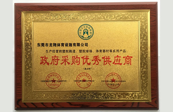 廣東龍翔體育